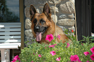 Photo n°15 de Esthima Castelsarrasin à Castelsarrasin ()