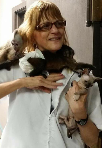 Animal Kindness Veterinary Hospital image