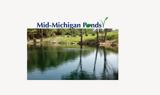 Mid-Michigan Ponds