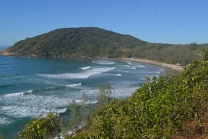 Trail To The Praia Do Rosa image