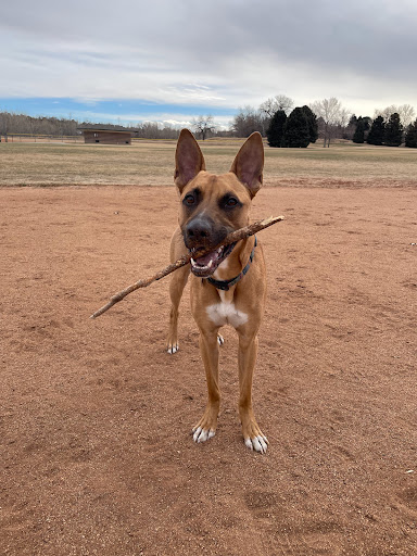 Park «James a Bible Park», reviews and photos, 6802 E Yale Ave, Denver, CO 80224, USA