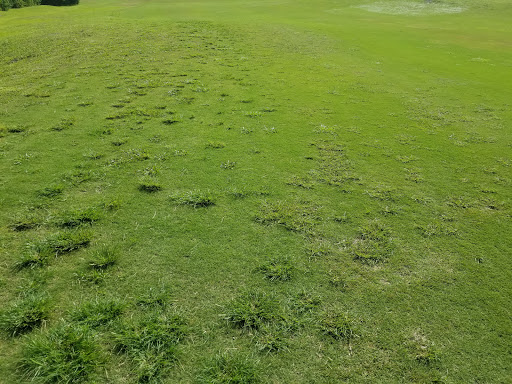 Golf Course «Harmony Golf Preserve», reviews and photos, 7252 5 Oaks Dr, St Cloud, FL 34773, USA