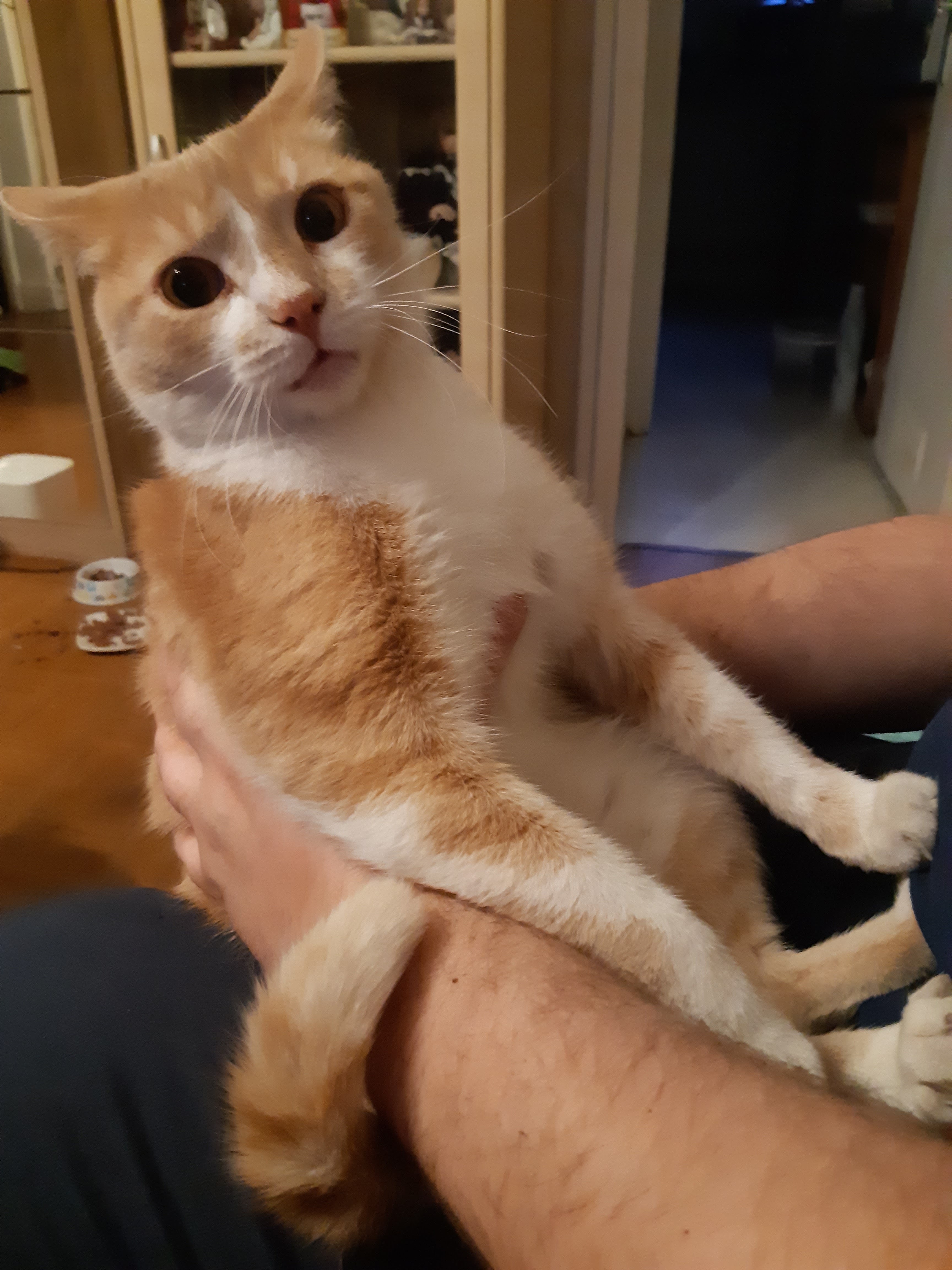 Photo n° 1 de l'avis de Marie-france.E fait le 14/11/2022 à 15:52