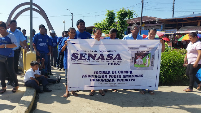 Opiniones de Senasa Loreto en Iquitos - Oficina de empresa