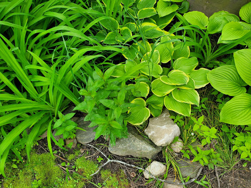 Historical Place Museum «Sanilac County Historic Village & Museum», reviews and photos, 228 South Ridge Street, Port Sanilac, MI 48469, USA