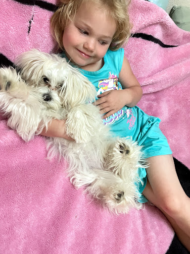 Pet Supply Store «PetSmart», reviews and photos, 3210 E Lynn Blvd, Sterling, IL 61081, USA