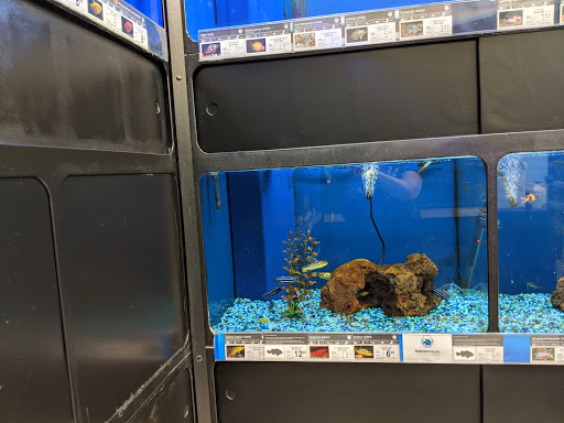 Pet Supply Store «Petco Animal Supplies», reviews and photos, 3464 Towne Blvd, Franklin, OH 45005, USA