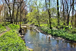 Thielke Arboretum image