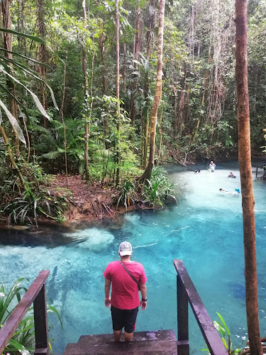 Pusat Informasi Pariwisata di Papua Bar: Temukan Jumlah Tempat Wisata Menarik Destinasi Tersembunyi