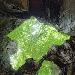 Photo n°5 de l'avis de Michele.i fait le 12/07/2023 à 18:21 sur le  Porancè à Camugnano