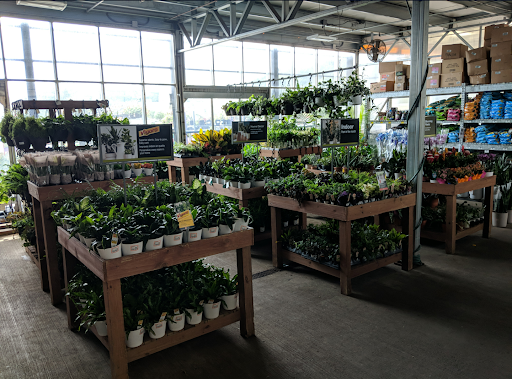 Home Improvement Store «The Home Depot», reviews and photos, 1100 Revere Beach Pkwy, Chelsea, MA 02150, USA