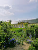 Jardin des communs du château Liancourt