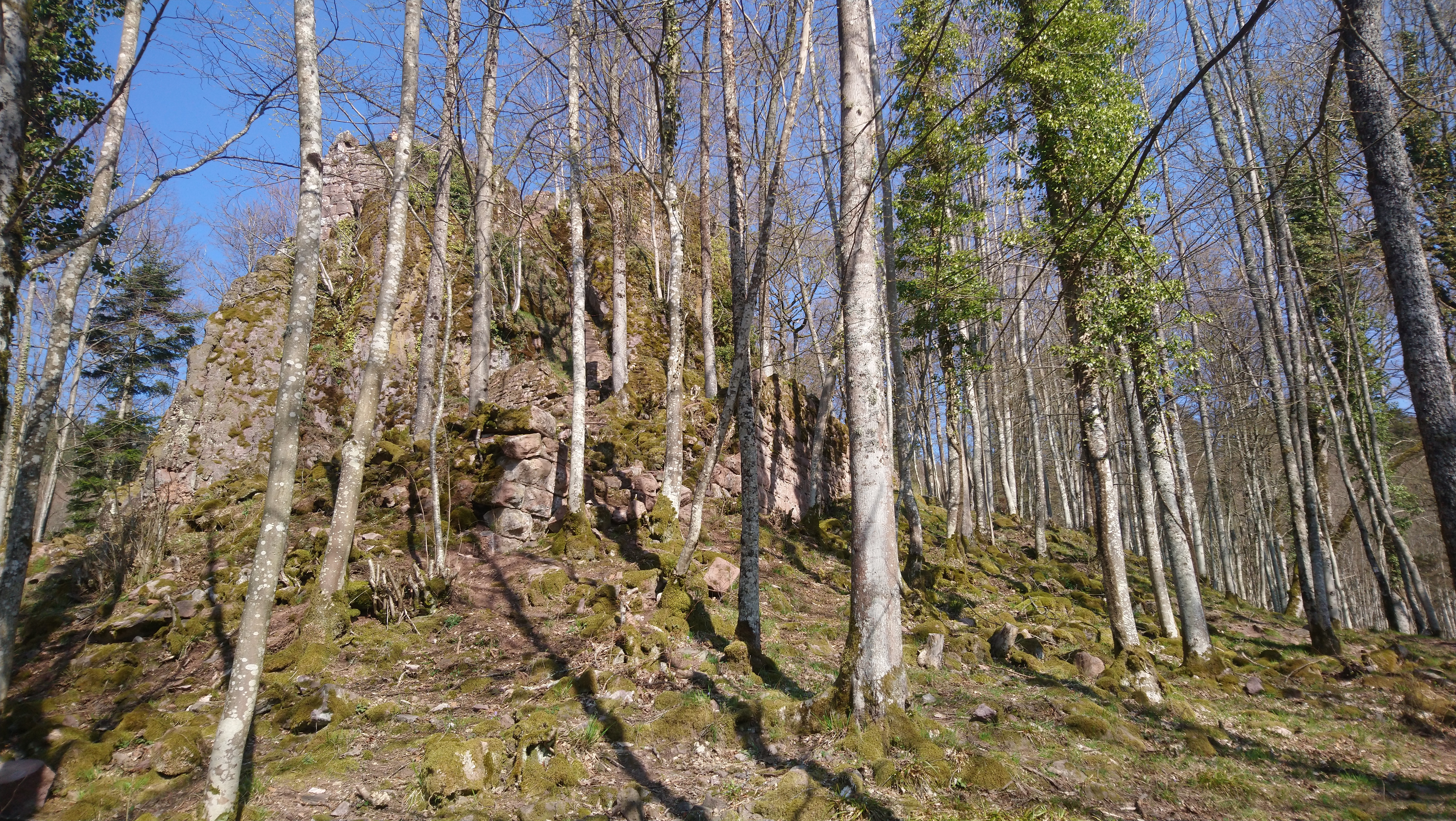 Photo n° 3 de l'avis de Laly.1 fait le 31/03/2019 à 11:11