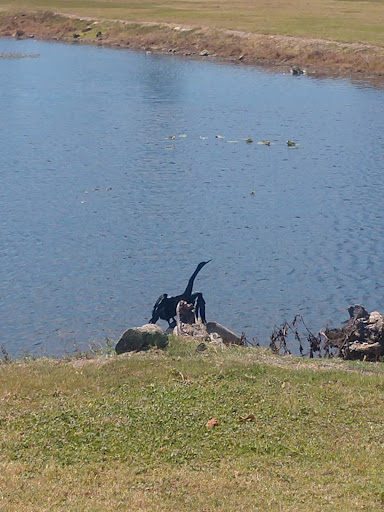 Country Club «Myerlee Country Club», reviews and photos, 1380 Myerlee Country Club Blvd, Fort Myers, FL 33919, USA