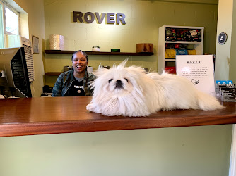 Rover Dog Hotel And Spa
