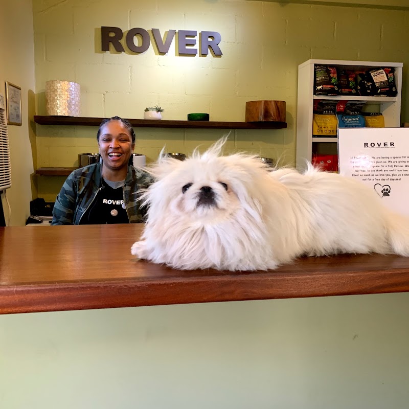 Rover Dog Hotel And Spa