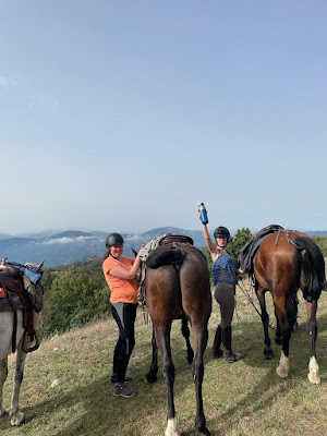 Cheval Cathare à Cucugnan