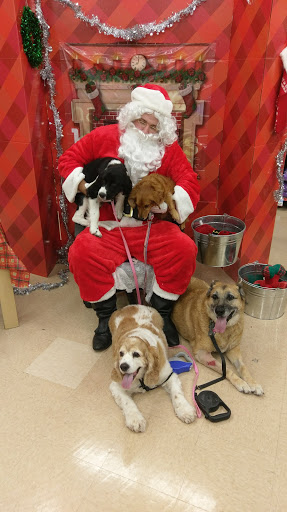 Pet Supply Store «Petco Animal Supplies», reviews and photos, 1753 St Lucie W Blvd, Port St Lucie, FL 34986, USA