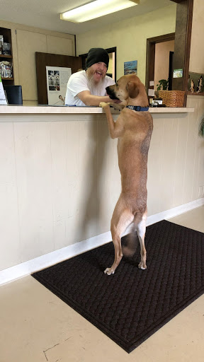 Metcalf 107 Animal Clinic image