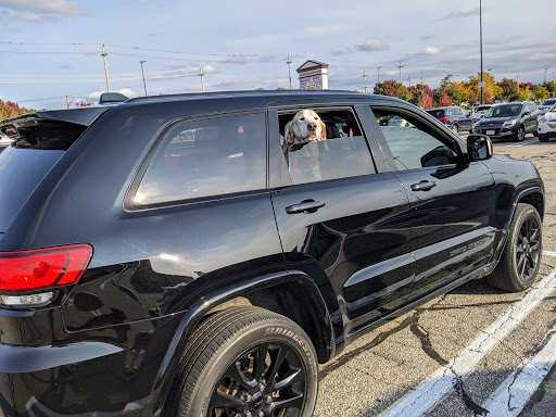 Pet Supply Store «Petco Animal Supplies», reviews and photos, 92 Cluff Crossing Rd, Salem, NH 03079, USA