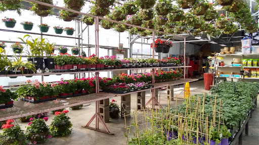 Garden Center «Spencer’s Lawn & Garden Centers», reviews and photos, 1430 S Tejon St, Colorado Springs, CO 80905, USA