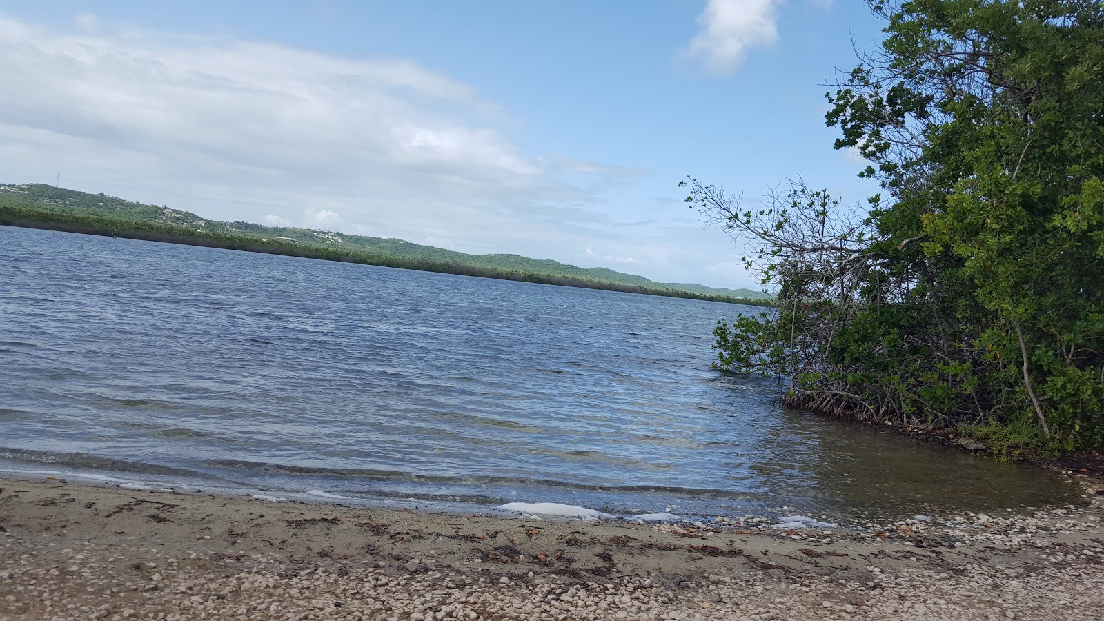 Bioluminescence beach 🏖️ Puerto Rico - gedetailleerde kenmerken, kaart,  foto's, image size:1600x900