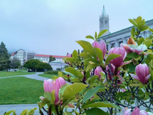 UC Berkeley