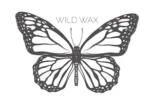 Wild Wax Studio image