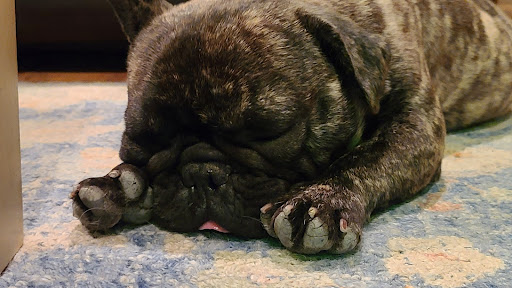 Electronics Repair Shop «uBreakiFix», reviews and photos, 654 Thousand Oaks Blvd, Thousand Oaks, CA 91360, USA