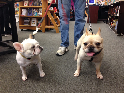 Book Store «The Regulator Bookshop», reviews and photos, 720 9th St, Durham, NC 27705, USA