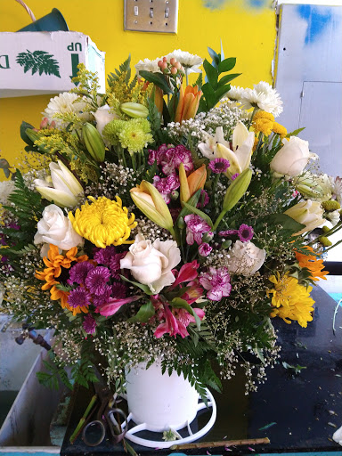Florist «Flowers Vs Flowers», reviews and photos, 414 Main St, Paterson, NJ 07501, USA