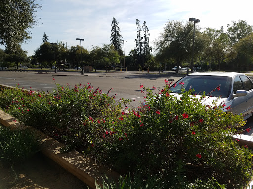 Park «Ted C Wills Community Center», reviews and photos, 770 N San Pablo Ave, Fresno, CA 93728, USA