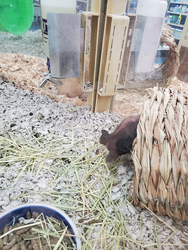 Pet Supply Store «Pet Supermarket», reviews and photos, 5000 Clyde Morris Blvd, Port Orange, FL 32127, USA