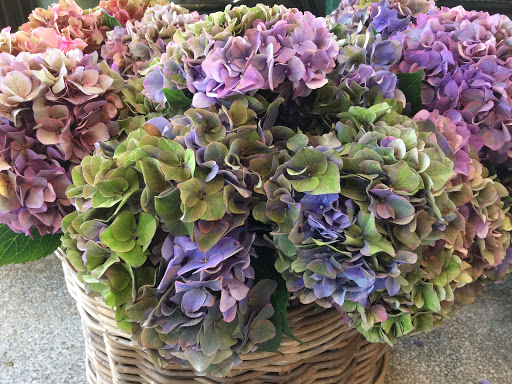 Florist «Jephry Flower Studio», reviews and photos, 432 Broadway, Providence, RI 02909, USA