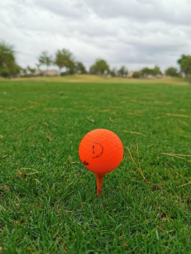 Golf Course «Aguila Golf Course», reviews and photos, 8440 S 35th Ave, Laveen Village, AZ 85339, USA