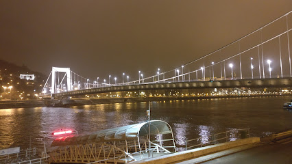 INTERNATIONAL PIER NR. 1 / Nemzetközi Hajóállomás 1. ponton