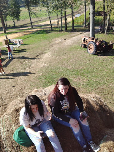 Tourist Attraction «Sugar Hill U-pick Farms», reviews and photos, 3595 Co Rd 59, Verbena, AL 36091, USA