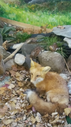 Nature Preserve «DeGraaf Nature Center», reviews and photos, 600 Graafschap Rd, Holland, MI 49423, USA