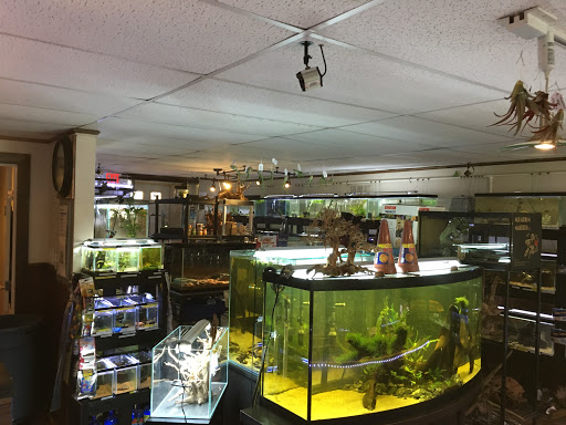 Tropical Fish Store «Aquastetics», reviews and photos, 354 E Main St, Fall River, MA 02724, USA