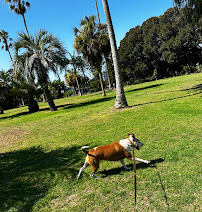 Rainbow Pack Pet Care - Photo 4 - Car repair in , San Diego