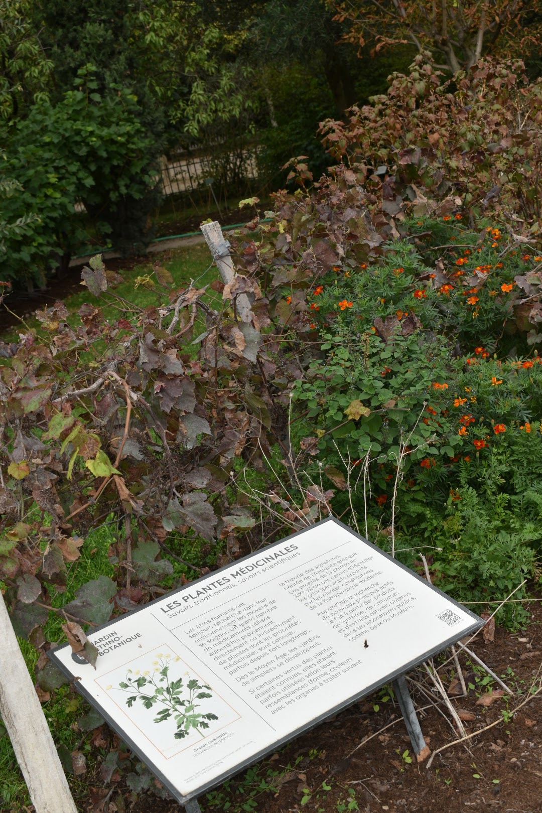 Photo n° 8 de l'avis de ATMANI.i fait le 17/10/2023 à 20:13