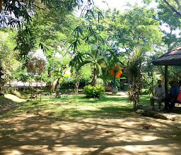 Harbour Park photo