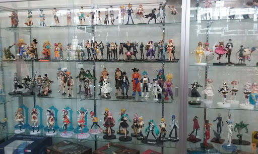 Store «Anime Stuff Store», reviews and photos, 14411 Coil Plus Dr D, Plainfield, IL 60544, USA