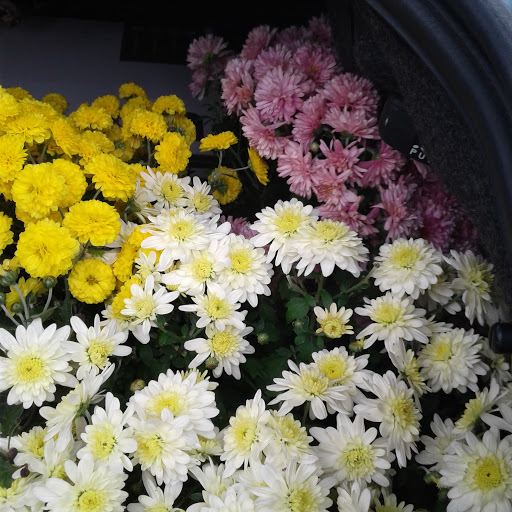 Home Improvement Store «The Home Depot», reviews and photos, 5410 Perkiomen Ave, Reading, PA 19606, USA