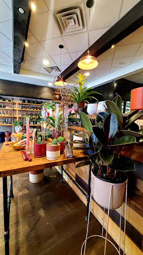 Florist «Chevy Chase Florist», reviews and photos, 5415 Friendship Blvd, Chevy Chase, MD 20815, USA