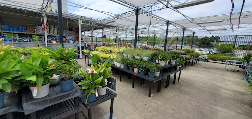 Discount Store «Walmart», reviews and photos, 301 Falls Blvd, Quincy, MA 02169, USA