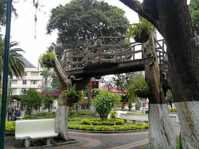 Opiniones de Palomino Flores (Parque Central) en Baños de Agua Santa - Arquitecto