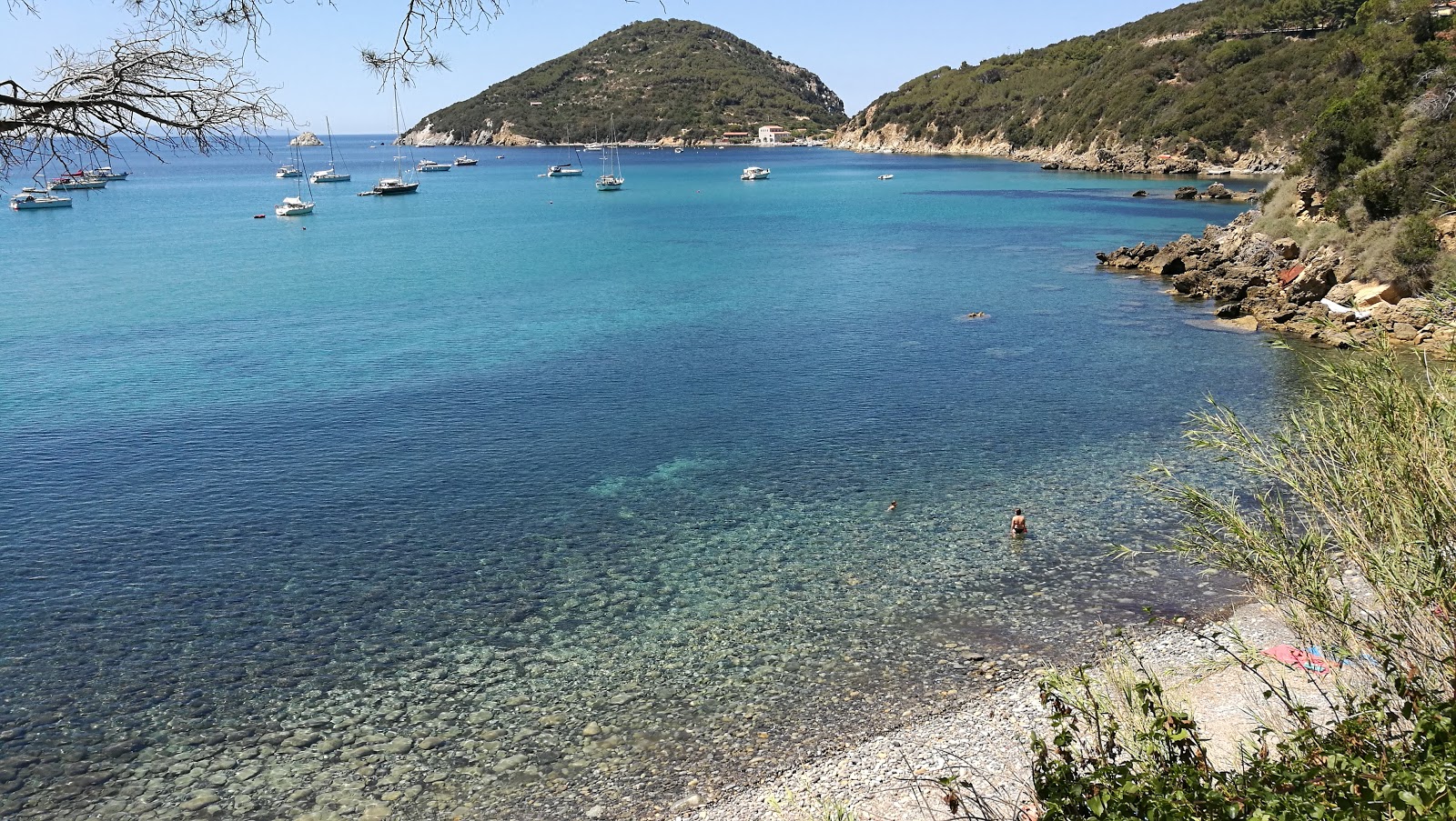 Spiaggia del Viticcio'in fotoğrafı turkuaz saf su yüzey ile