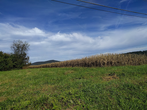 Golf Club «Richland Golf Club», reviews and photos, 50 Glenbrook Dr, Middletown, MD 21769, USA