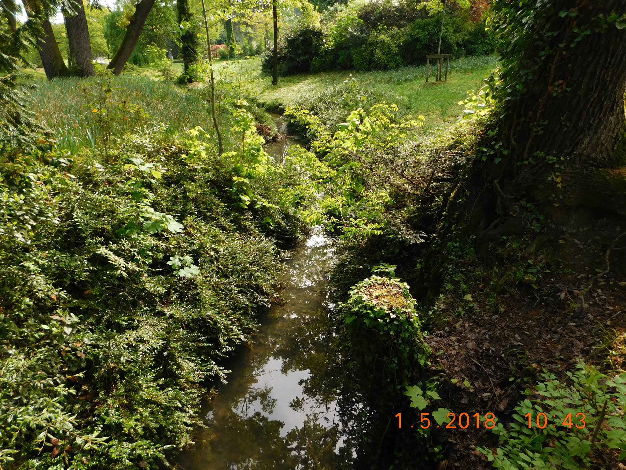 Photo n° 2 de l'avis de Aleksandra. fait le 09/08/2018 à 09:40